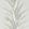 Yucca Wallpaper by Sanderson Grey/Gilver