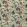 Summer Peony Fabric by Sanderson Vineyard/Rose