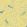 Finches Wallpaper by Sanderson Yellow