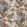 Sandoway Vine Fabric by Schumacher Document