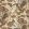 Sandoway Vine Fabric by Schumacher Spice