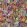 Sanguine Wallpaper by Harlequin Pomegranate / Clemantine / Peony / Blueberry