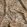 Sanjana Fabric by Warwick Tuscan