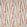 Santa Maria Fabric by Prestigious Textiles Rainbow