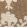 Saracen Fabric by Lewis & Wood Tobacco