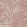 Savernake Wallpaper by Fermoie Blush