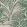 Savernake Wallpaper by Fermoie Bottle Green