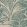 Savernake Wallpaper by Fermoie Green