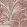 Savernake Wallpaper by Fermoie Rose