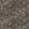 Scintilla Wallpaper by Clarke & Clarke Spice/Dusk