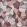 Sculptor Wallpaper by Prestigious Textiles Quartz