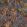 Seahorse Mangrove Wallpaper by Brand McKenzie Autumnal