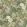 Secret Garden Wallpaper by George & Minnie Aqua/Sage