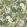 Secret Garden Wallpaper by George & Minnie Grass