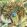 Secret Lagoon Grande Fabric by Arley House Viridian