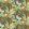 Secret Lagoon Midi Fabric by Arley House Viridian