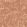 Sepia Wallpaper by Coordonne Rose
