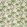 Shalimar Fabric by Osborne & Little Emerald
