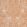 Shell Grotto Fabric by Fermoie Orange