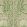 Shell Grotto Wallpaper by Fermoie Bottle Green