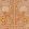Shell Grotto Outdoor Fabric by Fermoie Orange