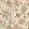 Shiraz Fabric by Ian Sanderson Tamarind