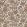 Sigourney Fabric by Anna French Brown