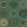 Soli Wallpaper by Cole & Son Emerald & Gold