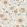 Solveig Wallpaper by Sandberg Colourful