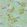 Sommerville Wallpaper by Sanderson Mint/Plum