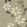 Stellata Wallpaper by Lewis & Wood Juniper