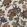 Stockbridge Wallpaper by Anna French Apricot and Slate