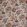 Stockbridge Fabric by Anna French Blush