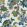 Stockbridge Wallpaper by Anna French Lavender and Blue