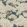 Stockend Woods Wallpaper by Josephine Munsey Navy and Ochre