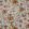 Delilah Fabric by Studio G Spice/Linen
