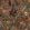 Sumatra Fabric by Arley House Amber