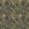 Sumatra Wallpaper by Arley House Forest