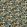 Sunforest Fabric by Clarke & Clarke Antique