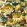 Sunforest Wallpaper by Clarke & Clarke Olive/Russet