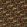 Sunforest Velvet Fabric by Clarke & Clarke Sage/Russet