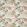 Sunset Boulevard Fabric by Prestigious Textiles Passion Flower