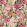 Suzette Fabric by Camengo Rose
