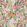 Suzette Fabric by Camengo Sorbet