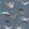 Swallow Wallpaper by Casadeco Bleu Orage