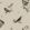 Sweet Birds Wallpaper by Coordonne Black