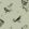 Sweet Birds Wallpaper by Coordonne Matcha