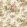 Sweet Dream Rose Wallpaper by Borastapeter Blush