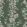Sweet Pea Wallpaper by Farrow & Ball Green