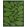 Sycamore Outdoor Rug by Orla Kiely Dill